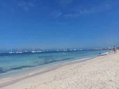 Platja Cavall d'en Borràs