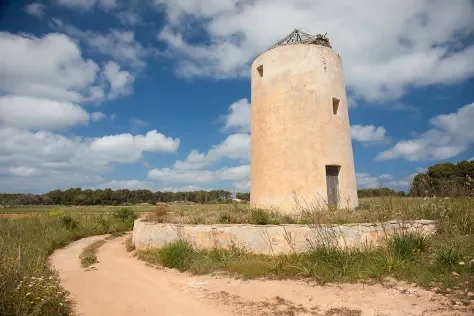Molí d’en Botigues