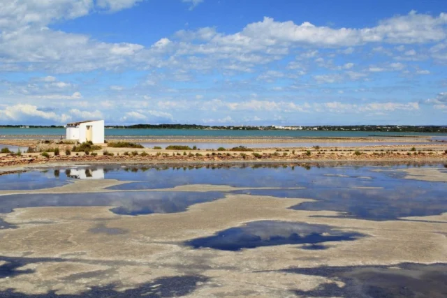 Parc Natural de Ses Salines