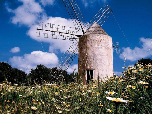 Molí vell
