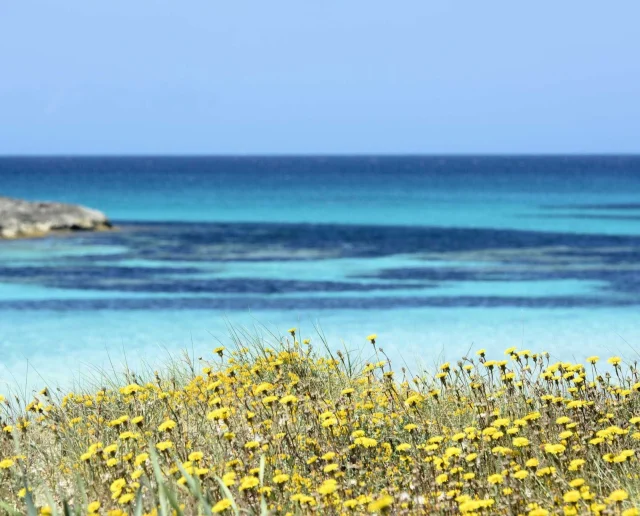 Ses Illetes
