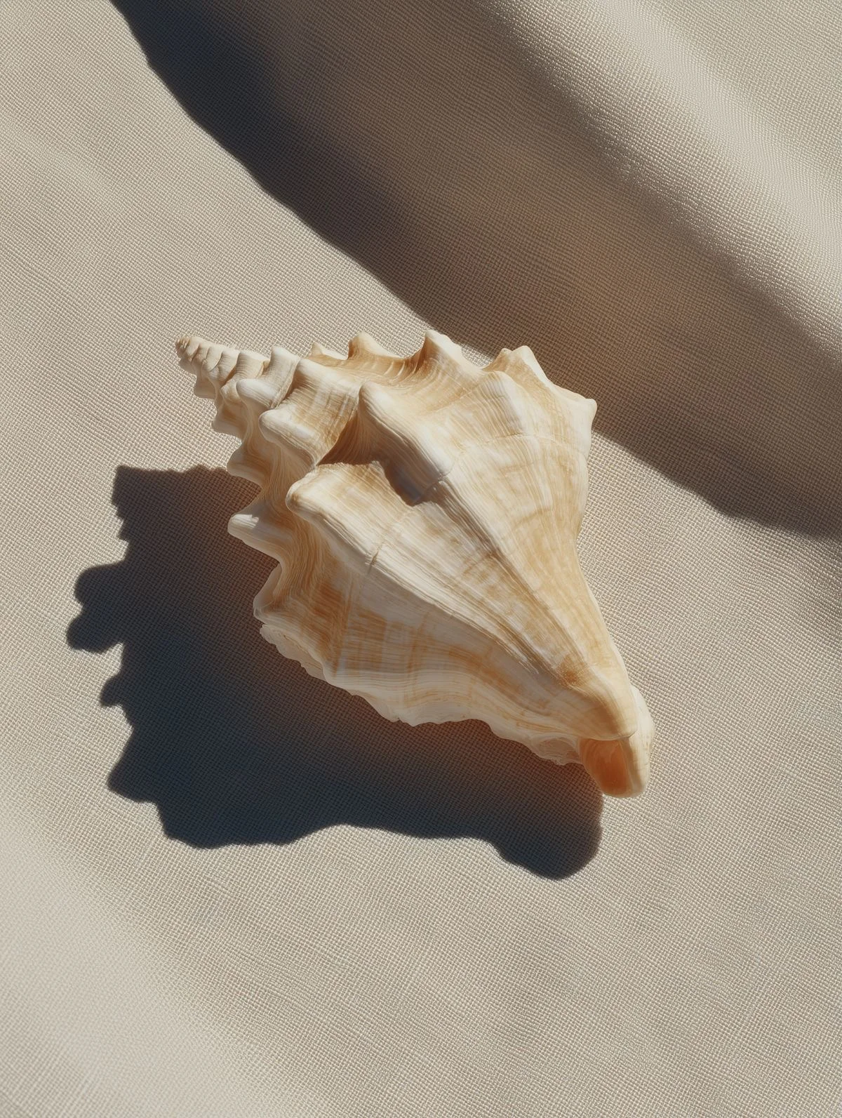 Bella Formentera