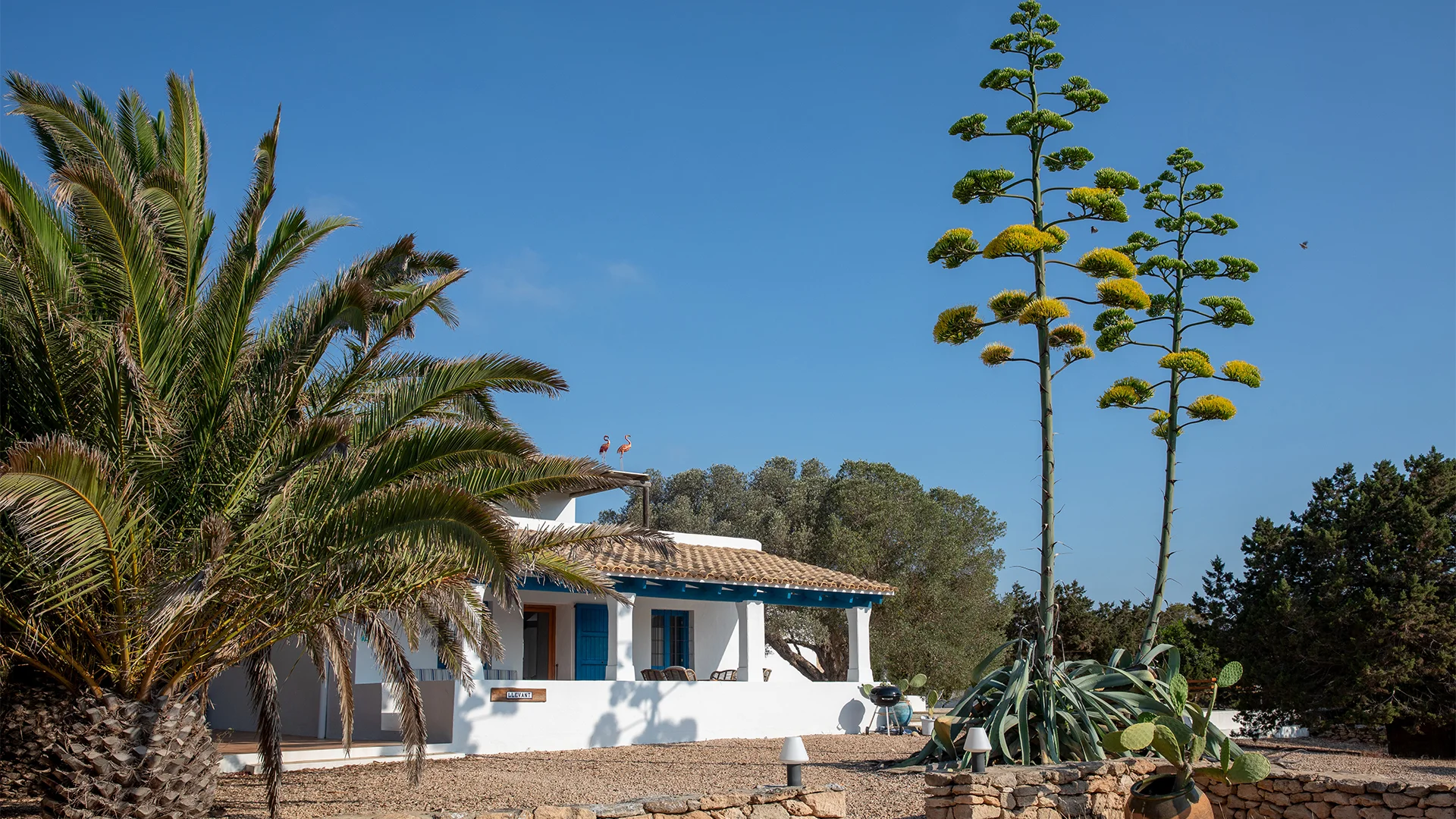 Casa Llevant - Can Toni Blay
